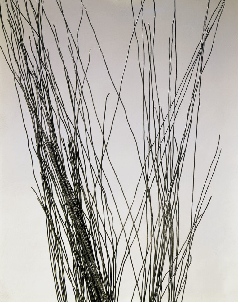 2004 - Wire and methacrylate - (detail) cm 91x31x14
