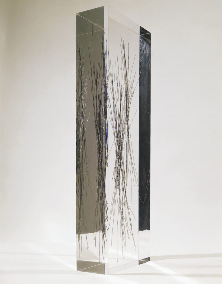2004 - Wire and methacrylate - cm 91x31x14