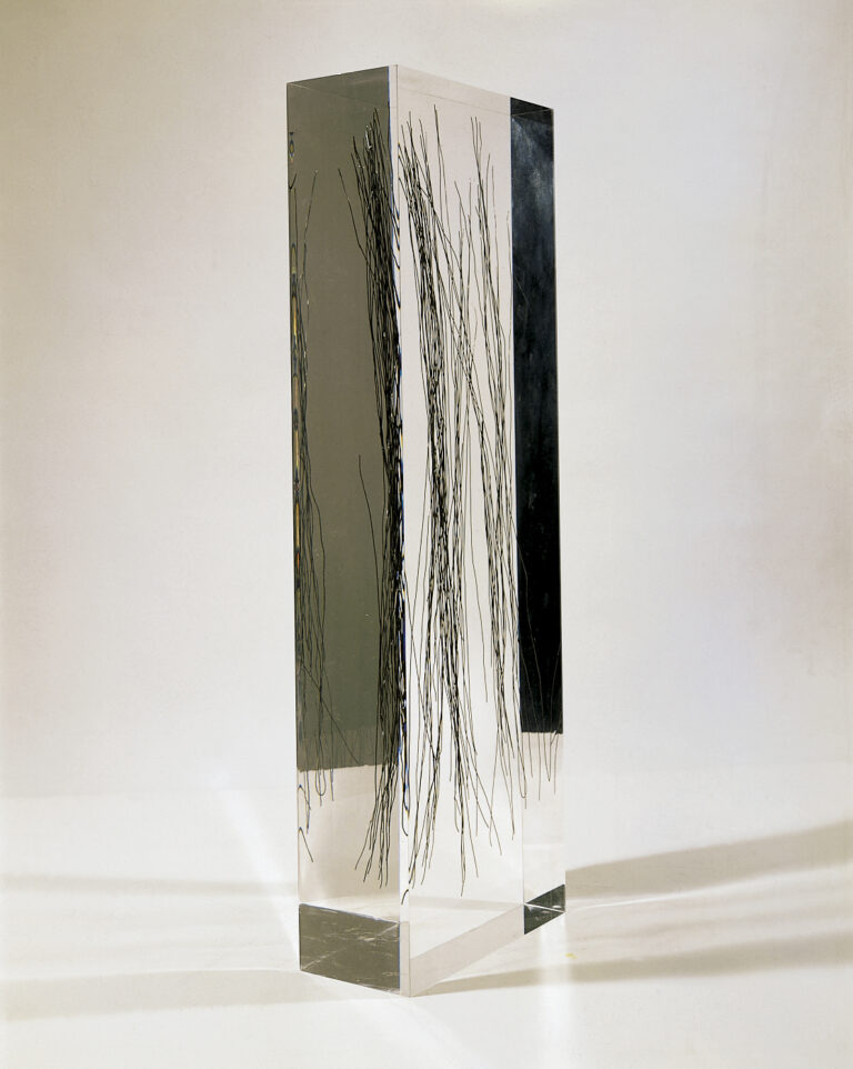 2004 - Wire and methacrylate - cm 75x25x11