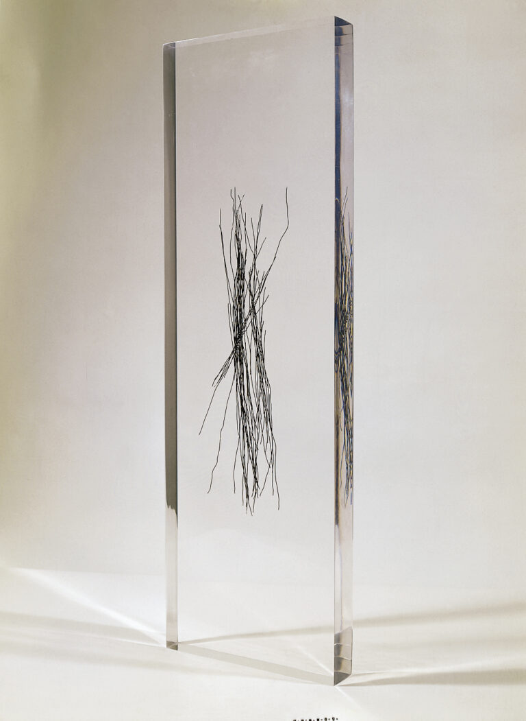 2004 - Wire and methacrylate - cm 87x27x5.