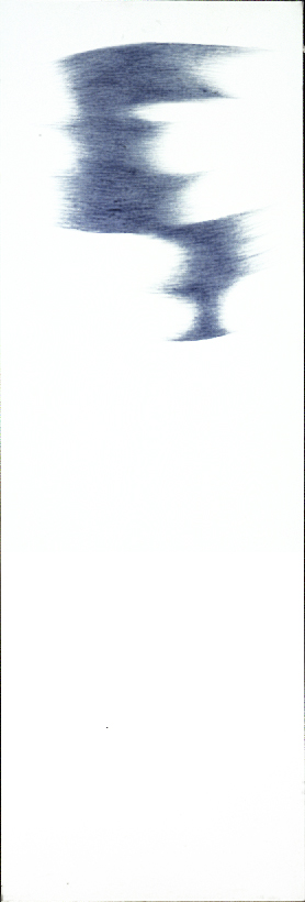 1989 - Penna a sfera su tela - cm 120x40