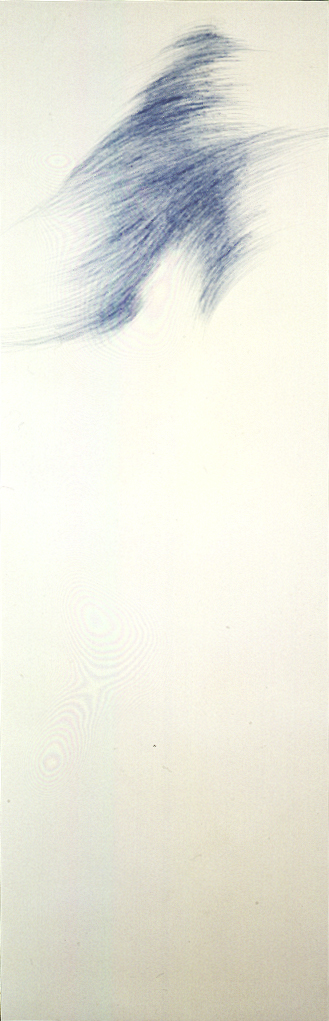1989 - Ball-pen on canvas - cm 120x40