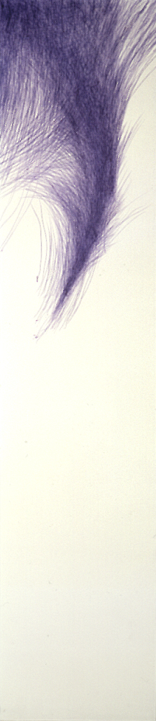 1989 - penna a sfera su tela - cm 110x24