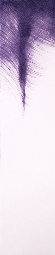 1989 - penna a sfera su tela - cm 110x24