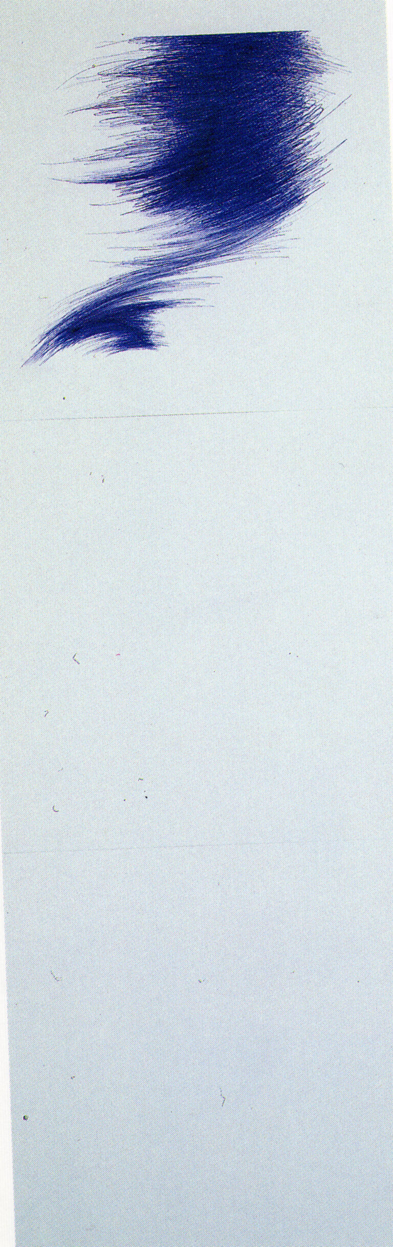 1989 - Ball-pen on canvas-backed paper - cm 103,5x34,5