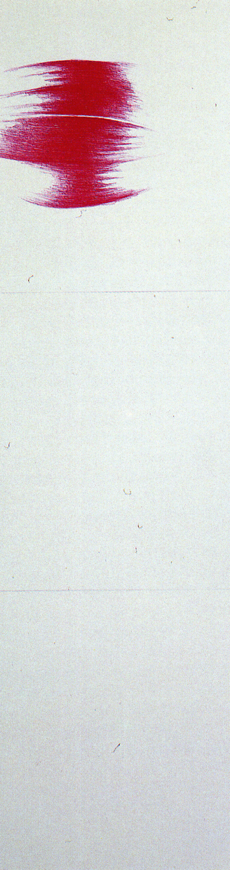 1989 - Ball-pen on canvas-backed paper - cm 103,5x34,5