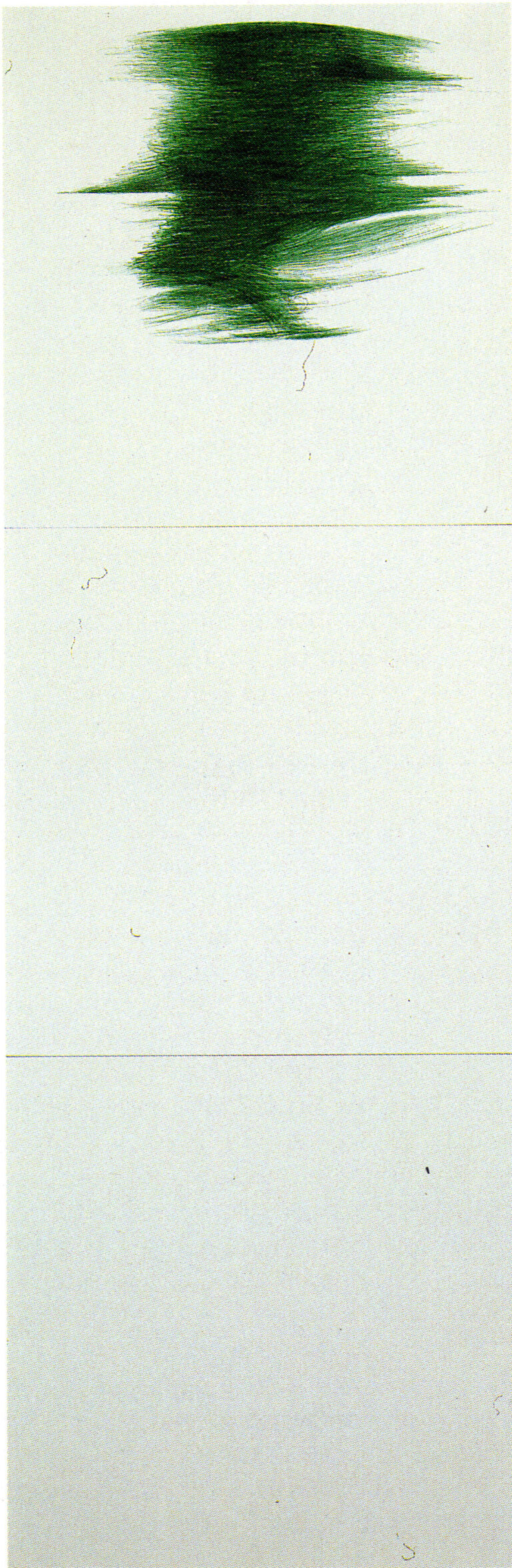 1989 - Ball-pen on canvas-backed paper - cm 103,5x34,5