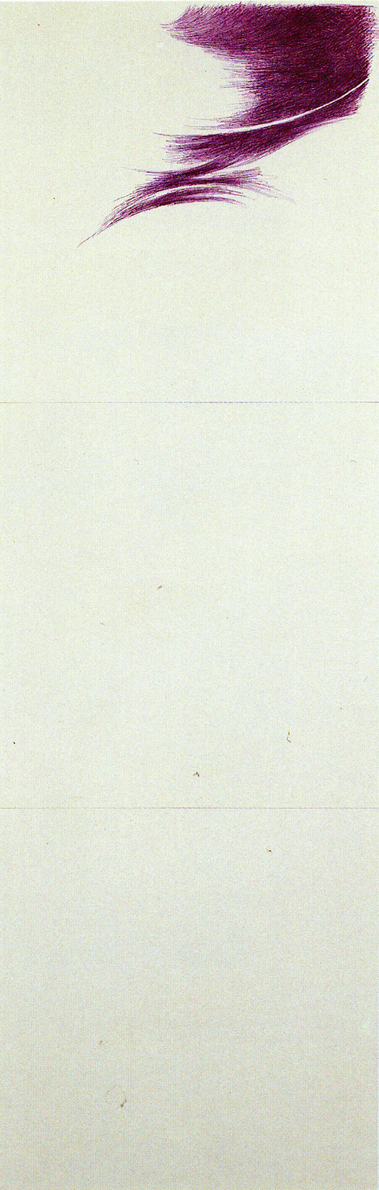 1989 - Ball-pen on canvas-backed paper - cm 103,5x34,5